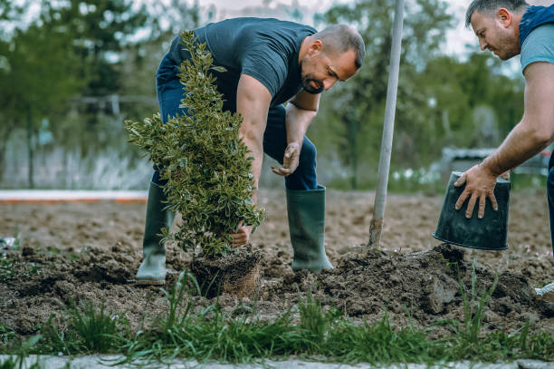 Best Lawn Mowing  in Gold Beach, OR